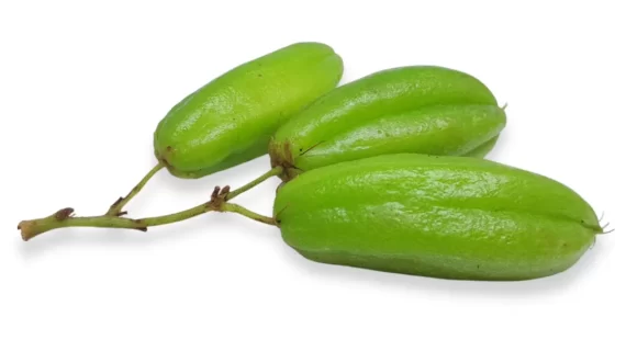 Manfaat Belimbing Wuluh