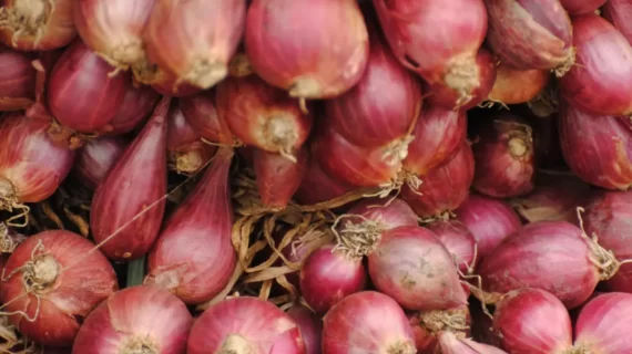 Khasiat Bawang Merah