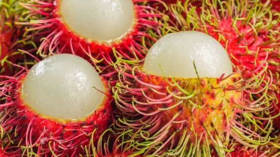 Manfaat Buah Rambutan
