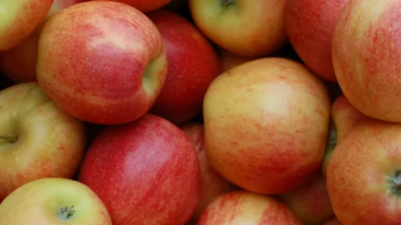 Manfaat apel untuk kesehatan