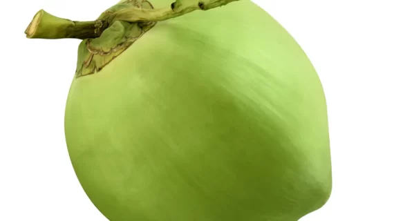 5 Manfaat Kelapa yang Baik Untuk Tubuh