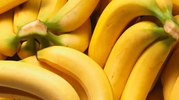 11 Bukti Manfaat Pisang Untuk Kesehatan