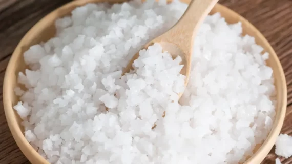 Manfaat dan Khasiat Gelambir Garam (Acacia Ampliceps)