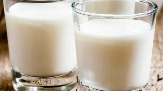 jasa maklon susu kambing