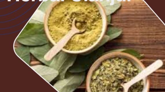 Jasa Maklon Herbal Cianjur