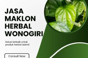 Jasa Maklon Herbal Wonogiri