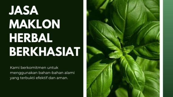 Jasa Maklon Herbal Berkhasiat