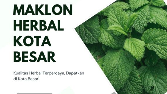 Maklon Herbal di Kota Besar