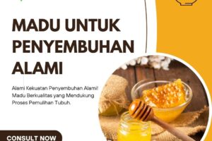 Madu untuk Penyembuhan Alami