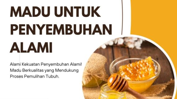 Madu untuk Penyembuhan Alami
